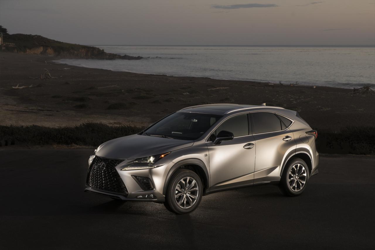 Bát Bèo Lexus NX300, RX300, RX350