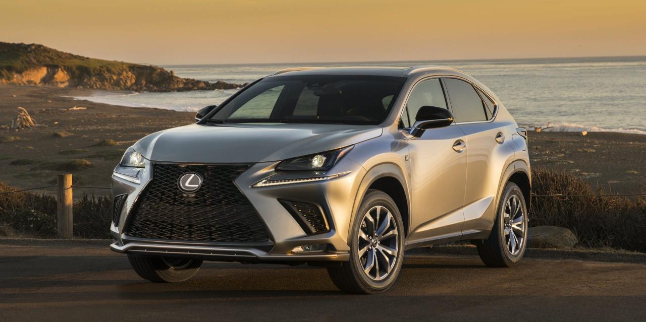 Nẹp Ca Lăng Lexus NX300, NX200t
