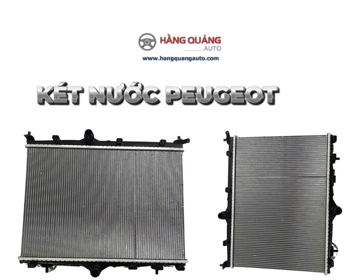 Két Nước Peugeot 2008